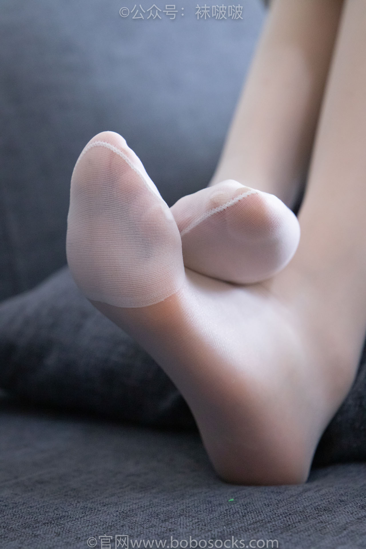 BoBoSocks袜啵啵 - 全套547期( 含4K视频)+限积分9套[3440G-2025.7]