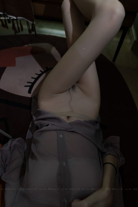 ISS系列 - 全套64期极品无内丝含配套视频[61.9G-2025.1] - OK写真