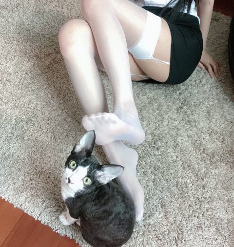 51酱 -  全套15期&amp;随包视频[4.1G-2025.8]